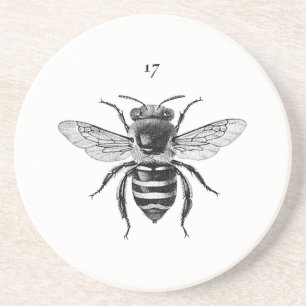 Bee 17 Sandstone-Onderzetter Zandsteen Onderzetter