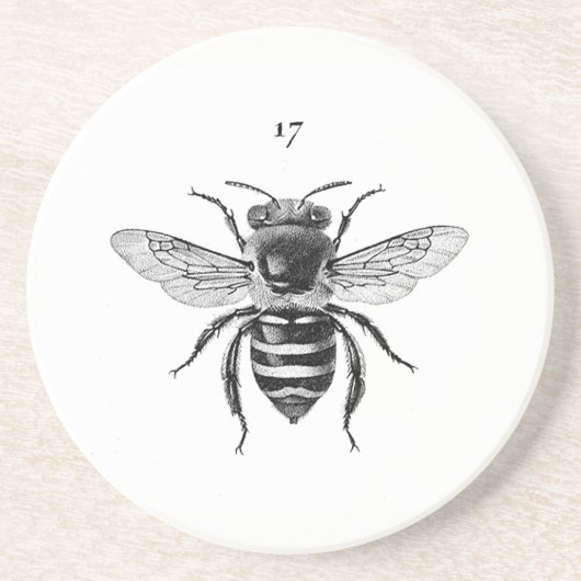 Bee 17 Sandstone-Onderzetter Zandsteen Onderzetter (Voorkant)