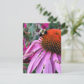 Bee and Coneflower Briefkaart (Staand voorkant)