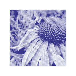 Bee and Coneflower Self Inking Rubber Stamp Zelfinktende Stempel
