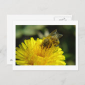Bee at Work Briefkaart (Voorkant / Achterkant)