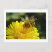 Bee at Work Briefkaart (Voorkant)