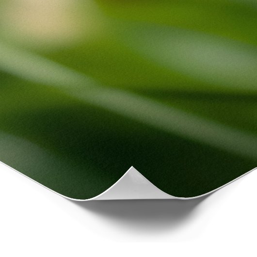 "Bee-autifull"-poster Poster (Hoek)