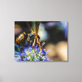 Bee Aware 24 x 18 inch, 1,5 inch, Single Wrapped C Canvas Afdruk