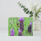 Bee Aware Briefkaart (Staand voorkant)