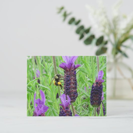 Bee Aware Briefkaart (Staand voorkant)