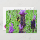 Bee Aware Briefkaart (Voorkant / Achterkant)