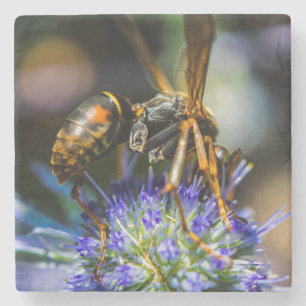 Bee Aware Marble Stone Onderzetter