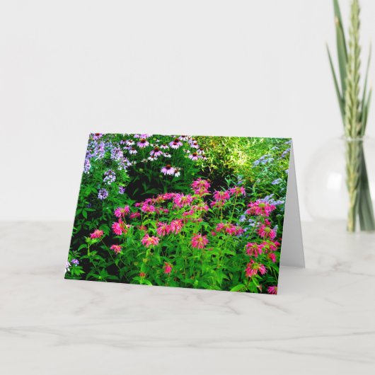 Bee Balm Bedankkaart (Voorkant)