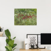 Bee Balm (Bergamont) in augustus Poster (Thuiskantoor)