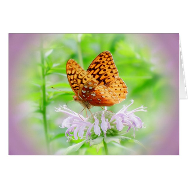 Bee Balm Butterfly - Fritillary (Voorkant Horizontaal)