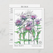 Bee Balm Materia Medica Herbal Studie Kaarten (Voorkant / Achterkant)