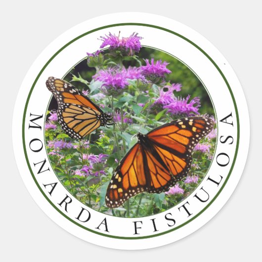 Bee Balm Monarda en Monarch Butterflies Ronde Sticker (Voorkant)