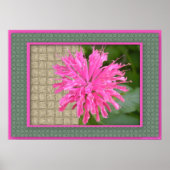 Bee Balm Poster (Voorkant)