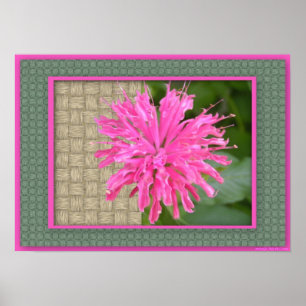 Bee Balm Poster