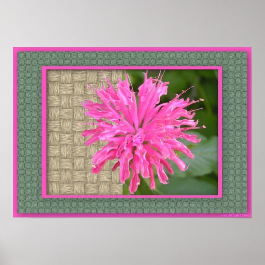 Bee Balm Poster (Voorkant)