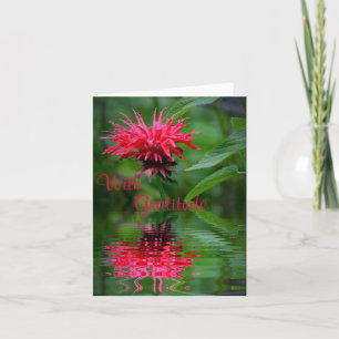 Bee Balm Reflection Dank je creditcard Bedankkaart