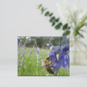 Bee Bee 4 Briefkaart (Staand voorkant)