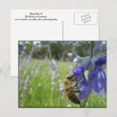 Bee Bee 4 Briefkaart (Voorkant / Achterkant)