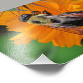 Bee bestuiving foto print 5x7 foto afdruk (Hoek)