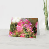 Bee blij bedankkaart (Voorkant)