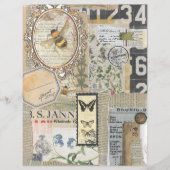 Bee Botanische Vintage Ephemera Scrapbook Papier (Voorkant)