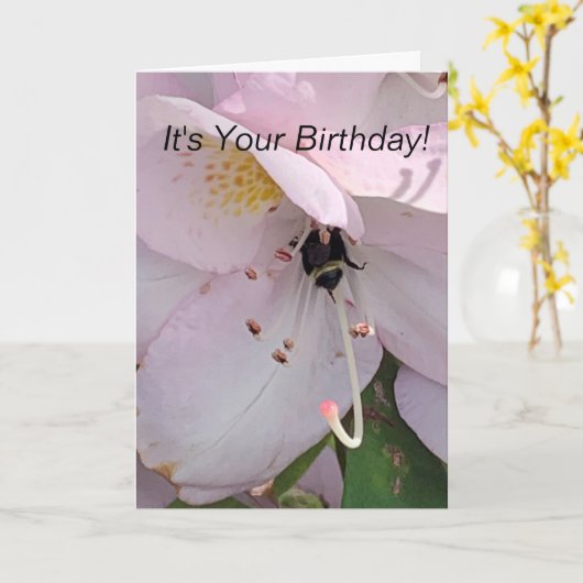 Bee Bottom Verjaardag Kaart (Gele Bloem)