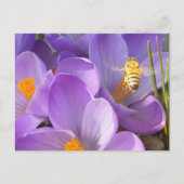 Bee — briefkaart (Voorkant)