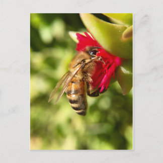 BEE BRIEFKAART