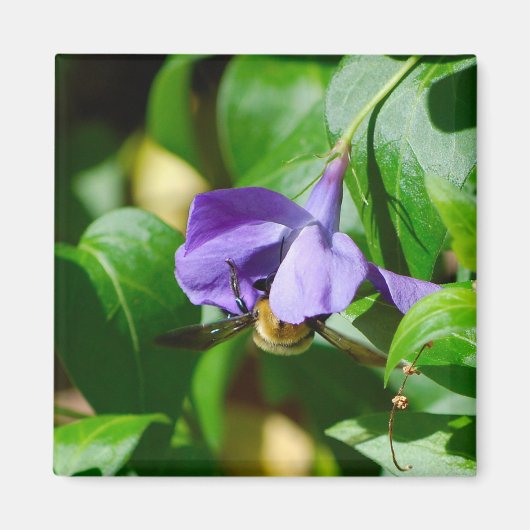 Bee Busy Magneet (Voorkant)