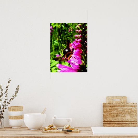 Bee Butt Poster (Keuken)