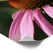 Bee Buzz 10x8-Poster Poster (Hoek)