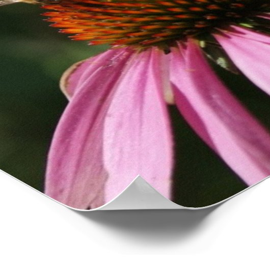 Bee Buzz 10x8-Poster Poster (Hoek)