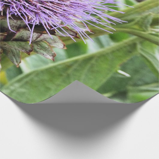 BEE CADEAUPAPIER (Hoek)