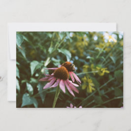 Bee & Coneflower Photo Reprint Kaart