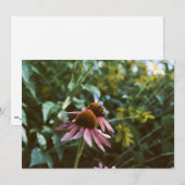 Bee & Coneflower Photo Reprint Kaart (Voorkant / Achterkant)