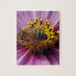 Bee Cosmo, Honey Bee en Cosmo Flower Legpuzzel