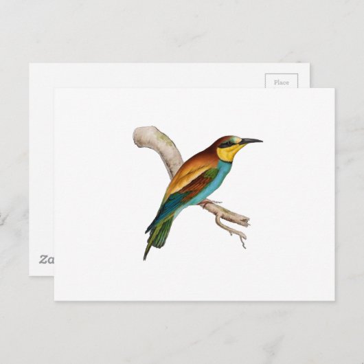 Bee Eater Briefkaart (Voorkant / Achterkant)