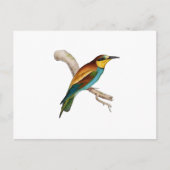 Bee Eater Briefkaart (Voorkant)