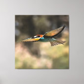 Bee Eater in vlucht Realistisch Kunstwerk Canvas Afdruk (Voorkant)