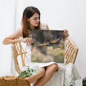 Bee Eater in vlucht Realistisch Kunstwerk Canvas Afdruk