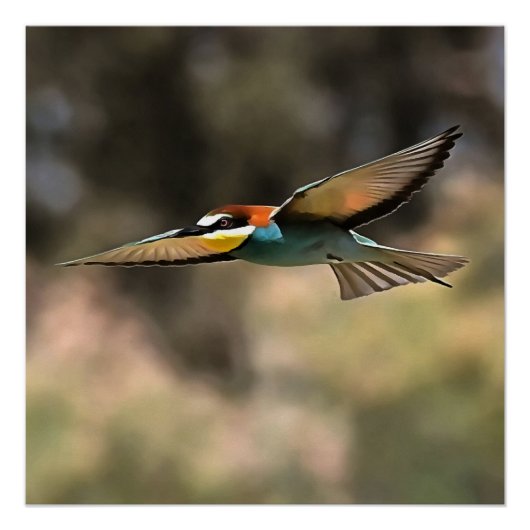 Bee Eater in vlucht Realistisch Kunstwerk Perfect Poster (Voorkant)
