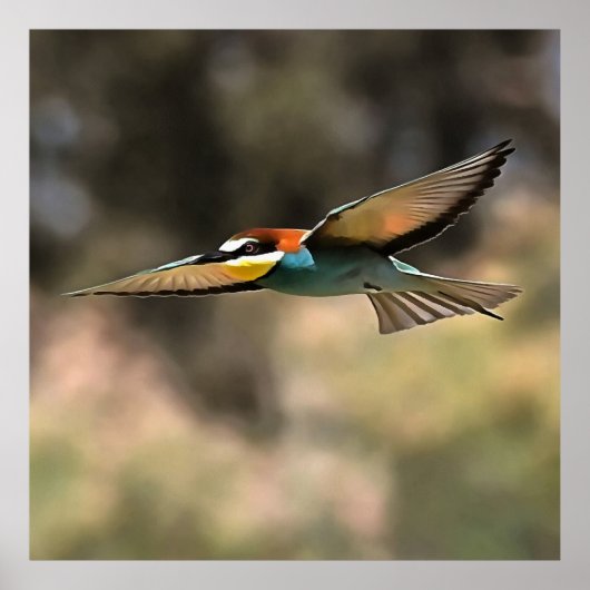 Bee Eater in vlucht Realistisch Kunstwerk Poster (Voorkant)