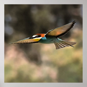 Bee Eater in vlucht Realistisch Kunstwerk Poster