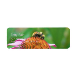 Bee Echinacea Etiket