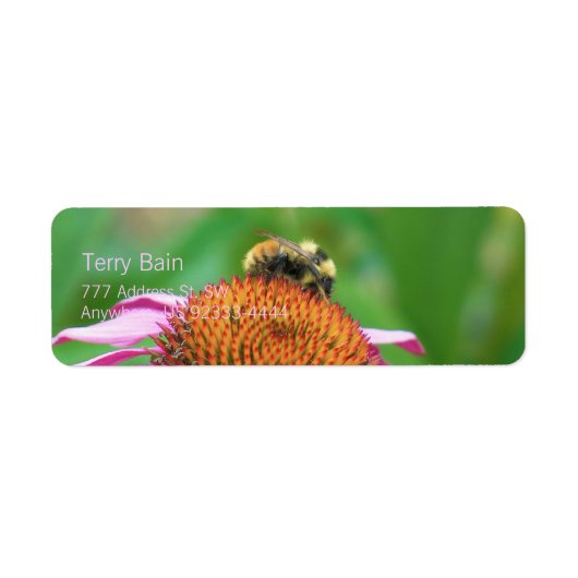 Bee Echinacea Etiket (Voorkant)