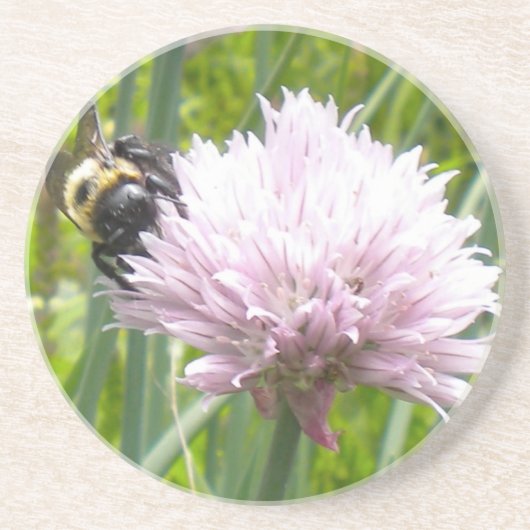 Bee- en Chive-bloem Zandsteen Onderzetter (Voorkant)
