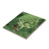 Bee en frambozenbloemen tegeltje (Zijkant)