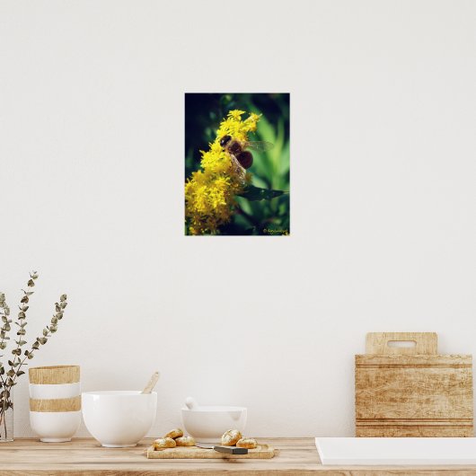 Bee en Goldenrod Poster (Keuken)