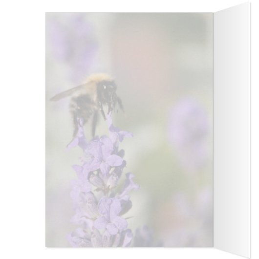 Bee en lavender Flowers, vogelkaart (Binnen (Links))